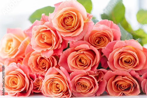 Bouquet of fresh roses closeup. Closeup. Floral gift.