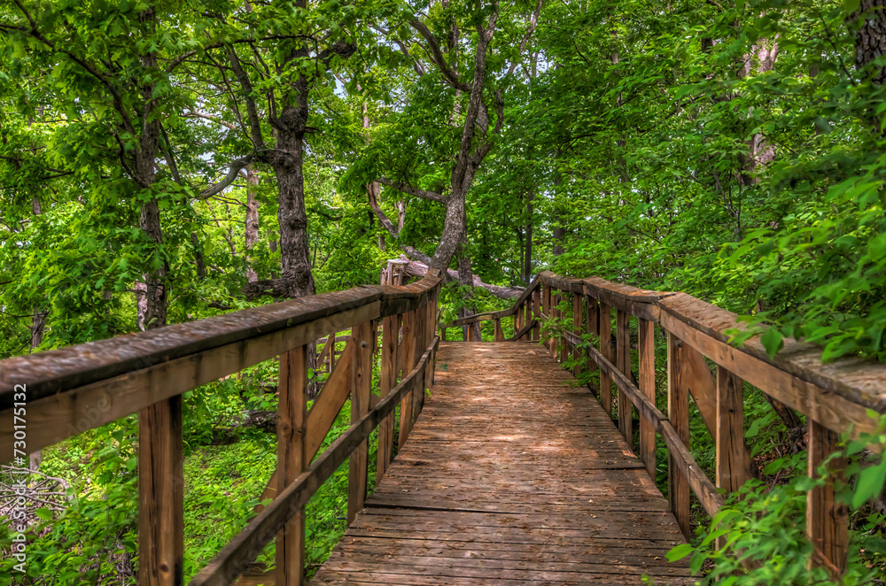 Boardwalk at the Top. At the top of Eagle Bluff where the terrain is steep a boardwalk has been constructed to minimize erosion, and make the trail safer to hike on. Boardwalk at the Top. At the top of Eagle Bluff where the terrain is steep a boardwalk has been constructed to minimize erosion, and make the trail safer to hike on.