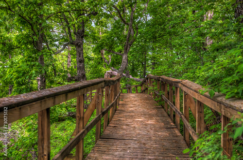 Boardwalk at the Top.  At the top of Eagle Bluff where the terrain is steep a boardwalk has been constructed to minimize erosion  and make the trail safer to hike on. 