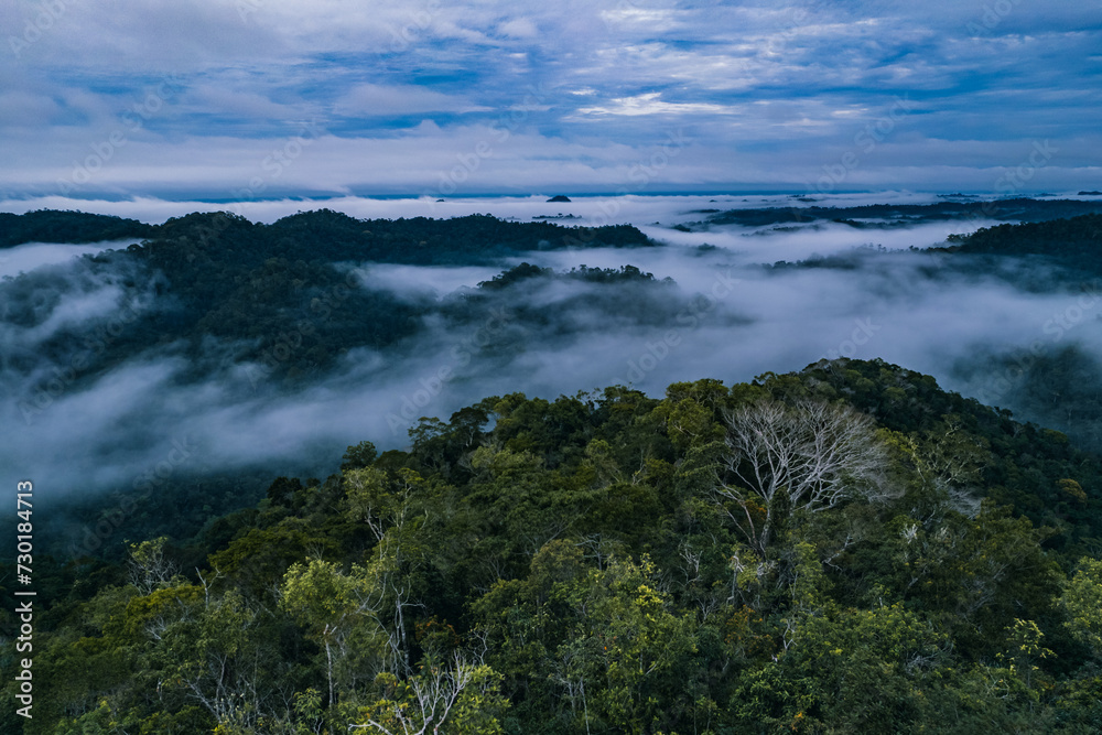 fog in the mountains