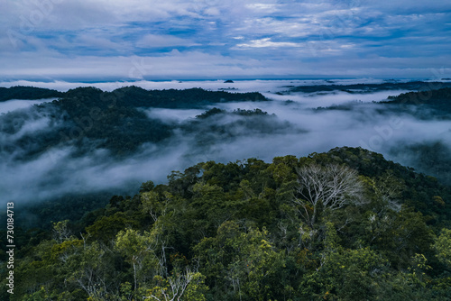 fog in the mountains