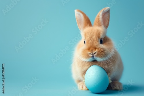cute little easter bunny sitting near easter egg isolated on pastel blue background with copy space, Happy Easter postcard with adorable rabbit, easter celebration postcard © Anastasia YU