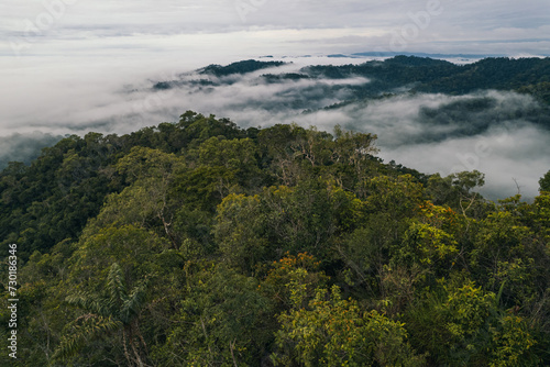 fog in the mountains