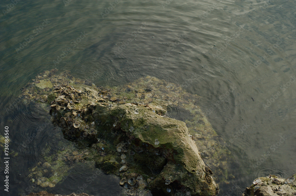 Water flowing around rocks in lower half of picture with small shells. Reflections in water with small ripple waves on a sunny day in Florida. Room for copy on a horizontal shot. Water flowing around rocks in lower half of picture with small shells. Reflections in water with small ripple waves on a sunny day in Florida. Room for copy on a horizontal shot.
