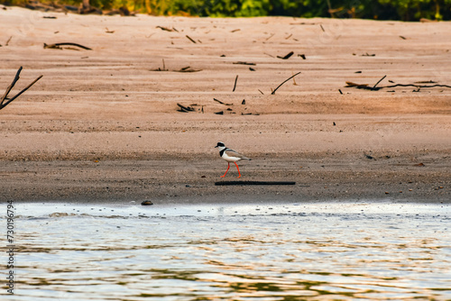 kite surfing in the sea