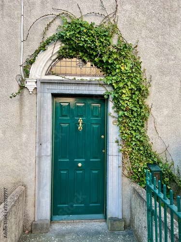 Green door with ivy frame and iron fence, Roscommon, Ireland photo