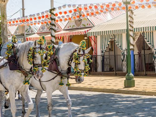Elegant Horses Adorned for Seville’s April Fair Celebration