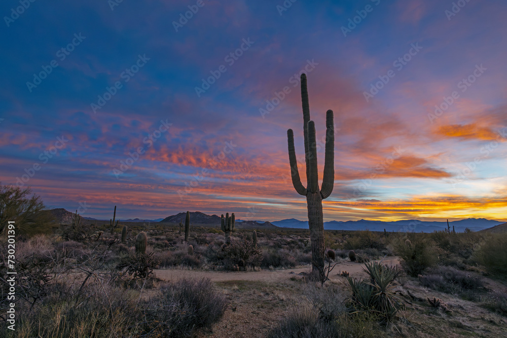 Wide Angle Southwest Desert Sunrise With Saguaro Cactus Wide Angle Southwest Desert Sunrise With Saguaro Cactus