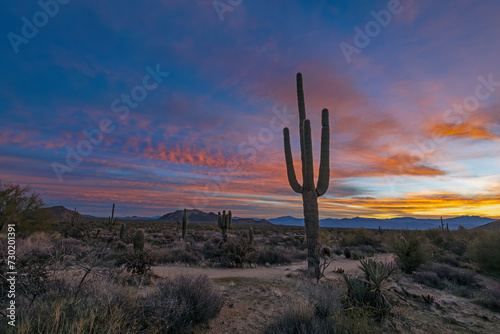 Wide Angle Southwest Desert Sunrise With Saguaro Cactus