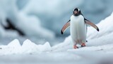 Against the pristine backdrop of an icy landscape, a charming penguin waddles gracefully, embodying the resilience and cuteness of these Antarctic inhabitants 