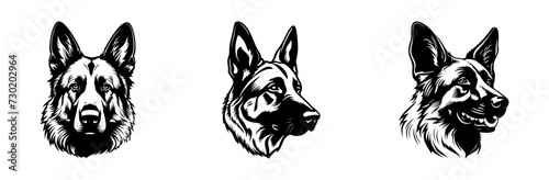 German Shepherd dog breed head vector illustration. Pet portrait in style of hand drawn black doodle on white background photo