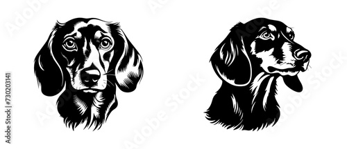 Dachshund dog breed head vector illustration. Pet portrait in style of hand drawn black doodle on white background