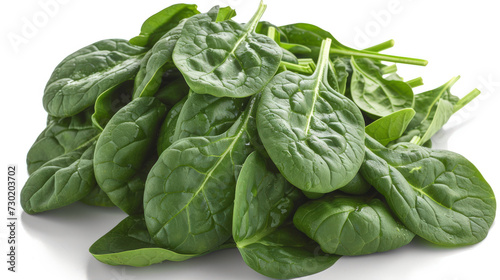 Pile of Spinach Leaves on White Background