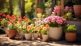 Gardening background with flowerpots, yellow boots in sunny spring or summer garden