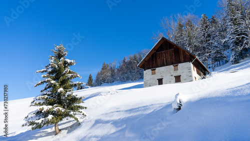 Paysage hiver - chalet e sapin enneigés à la montagne © cassandra
