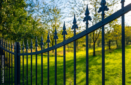 Wrought iron garden gate in the park of a German castle. Black metal fence backlit by the low sun on a summer day in Münsterland. Vintage entrance in idyllic atmosphere. 