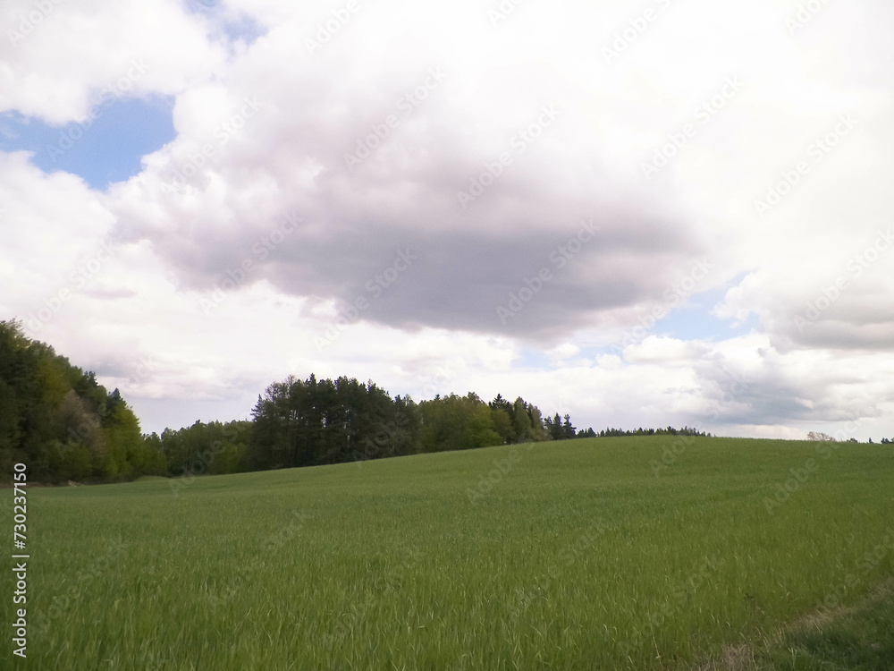 Green fields in Kashubia region - Northern Poland.