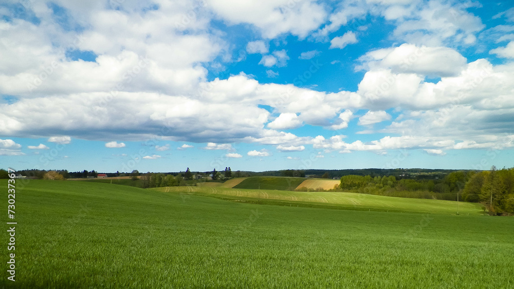 Green fields in Kashubia region - Northern Poland.