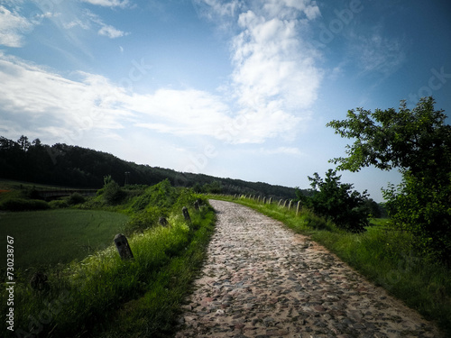 Way through the fields in Wie  yca  Poland.