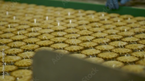 Mince pies on a production line in a factory