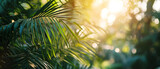 Golden sunlight filters through tropical palm fronds, creating a warm