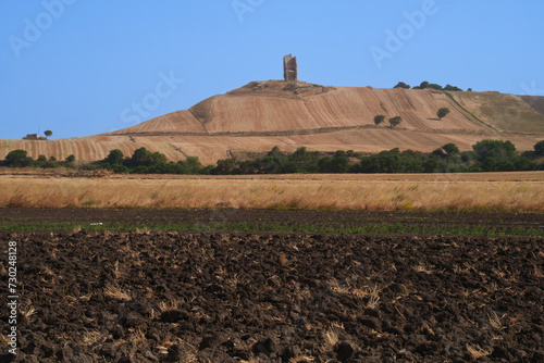 Country landscape near Motta Montecorvino, Apulia, Italy