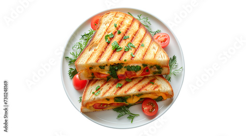 toasted sandwic, french food, food on a plate, top view, white background.Image generated by AI