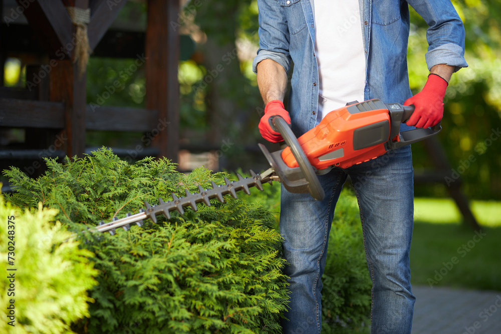 Experienced male gardener cutting off conifer hedges with huge electric