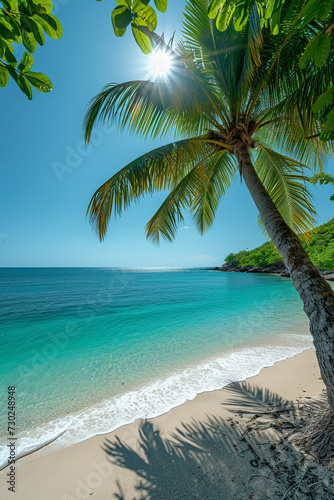 palm tree on the beach © Wendelin