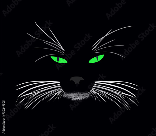 the face of a cat with green piercing eyes, on a  black background, abstract vector drawing