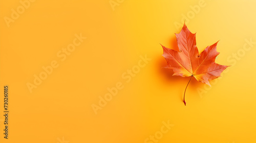 autumn leaves background,,
Colorful background of autumn maple tree leaves background with wooden calendar november month
