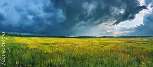 Sunny panorama of grassy field under dark rain clouds.