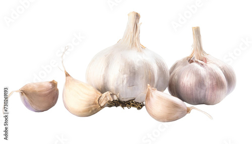 Garlic isolated on a transparent background.