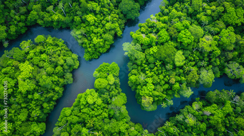 Nature's Canvas: A Sunny Day Over Rainforest River