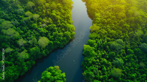 Green Elevation: Aerial Bliss in Tropical Waters