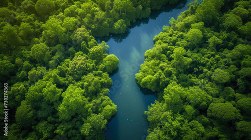 River Rhapsody: A Sunny Serenade from Above