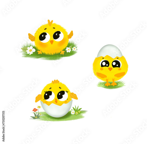 Cute little cartoon chick hatched from an egg isolated on grass with flowers