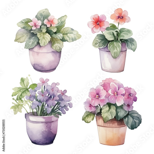 Set of watercolor potted flowers isolated on white background.