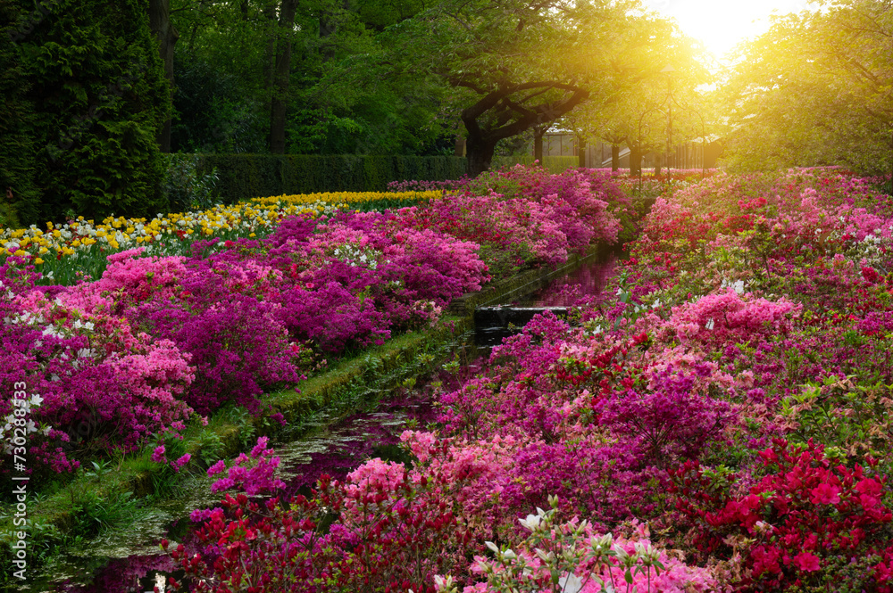 Obraz premium Flowers in the park in spring