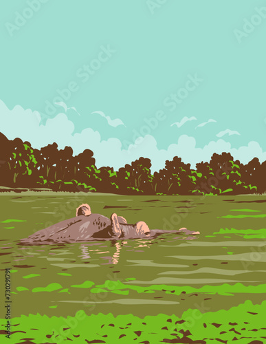 Art Deco or WPA poster of a hippo or hippopotamus in Loango National Park on the Atlantic coast of Gabon in Central Africa done in works project administration style.
