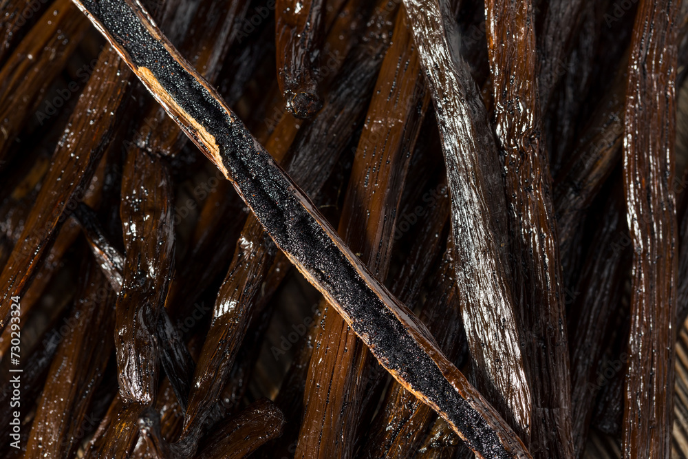 Fototapeta premium Organic Raw Madagascar Vanilla Beans