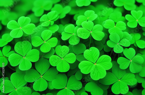 Green background with four-leaved shamrocks, Lucky Irish Four Leaf Clover in the Field for St. Patricks Day holiday symbol. with four-leaved shamrocks, St. Patrick's day holiday symbol