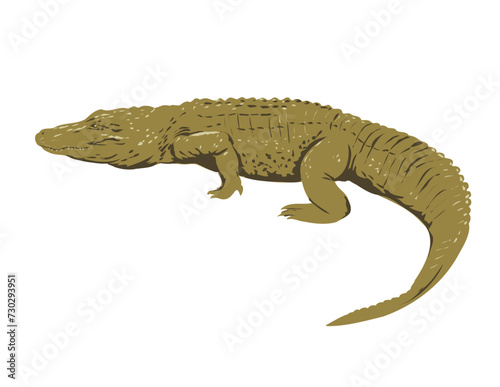 Art Deco or WPA poster of an American alligator viewed from side on isolated background done in works project administration style. 