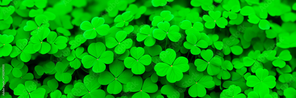 Green background with four-leaved shamrocks, Lucky Irish Four Leaf Clover in the Field for St. Patricks Day holiday symbol. with four-leaved shamrocks, St. Patrick's day holiday symbol