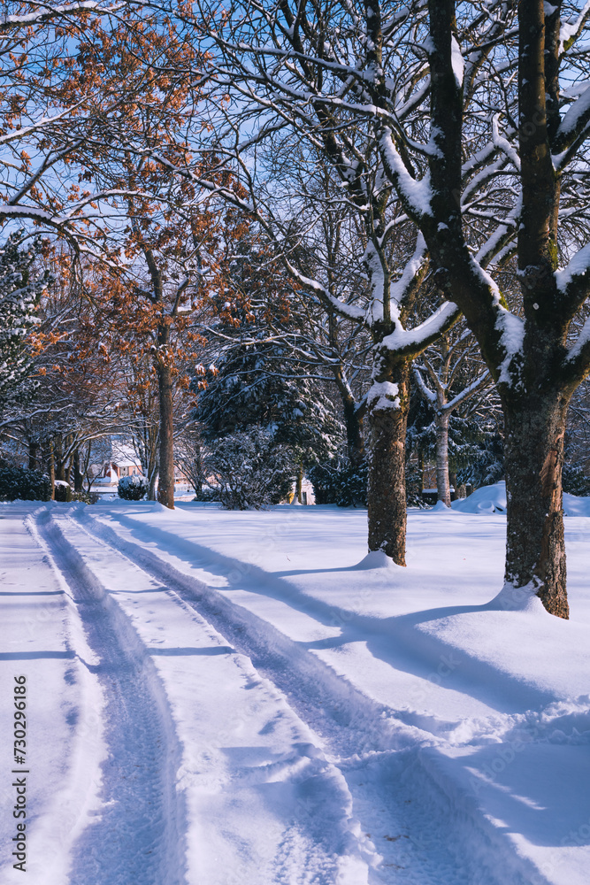Parkfriedhof, Winterwetter Schnee auf Ästen und Wegen Parkfriedhof, Winterwetter Schnee auf Ästen und Wegen
