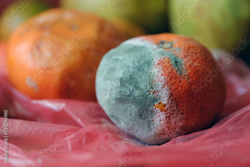 Moldy fruit. Mouldy tangerine. Fruits that are inedible and should be thrown away. photo