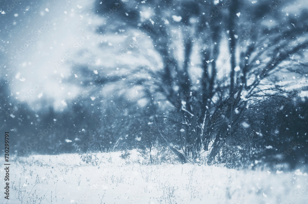 snow flakes falling, fantasy winter background snow flakes falling, fantasy winter background