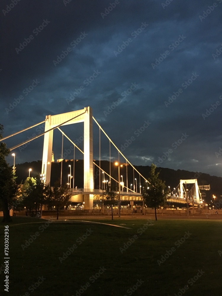 Fototapeta premium Elisabeth Bridge (Erzsébet Híd), Budapest, Hungary (at night)