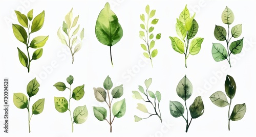 a bunch of green leaves on a white background