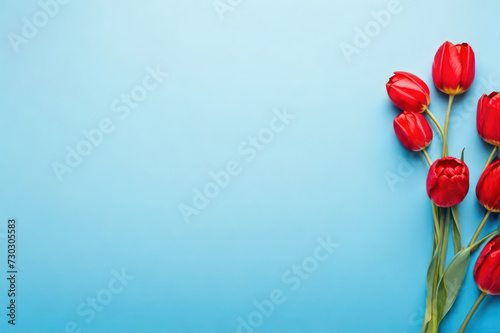 Banner with red tulips on light blue background